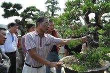 瑞岭村(广州市花都区赤坭镇瑞岭村)