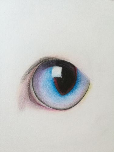 猫眼睛,彩铅画