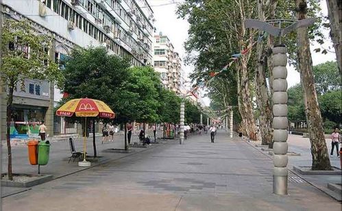 武汉有一个水果湖,只有我们知道