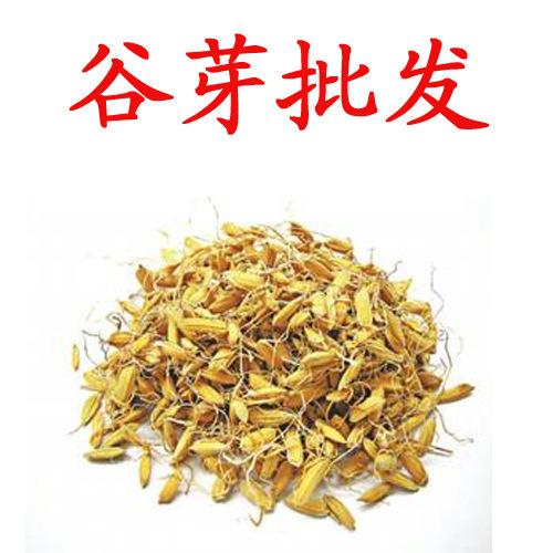 中药材批发 谷芽 小米芽 消食和中 健脾开胃 正品