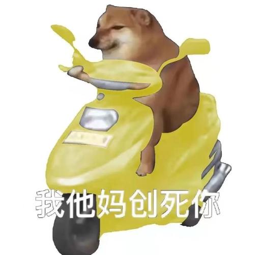 我创死你表情包狗狗小电驴电动车表情包