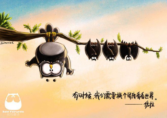 一只猫头鹰带你领悟人生