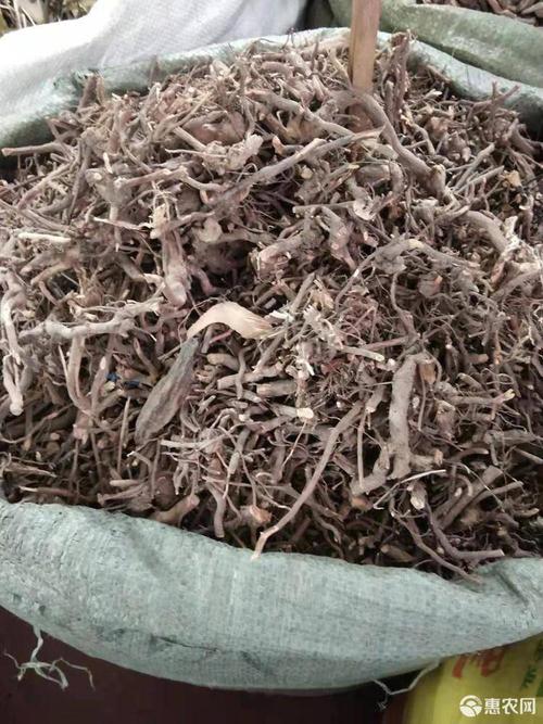 蛇莓 三月泡根 刺波 茅梅根 茅莓根 红梅消根 she泡筋阴枝