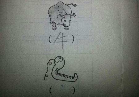 看图写汉字