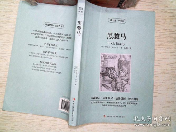 黑骏马