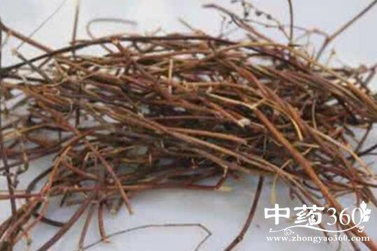 鸡骨草的功效与作用 鸡骨草泡水喝的功效