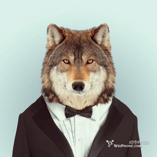 来看看动物肖像画(组图)