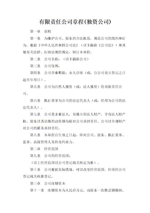 有限责任公司章程(独资公司).docx 8页