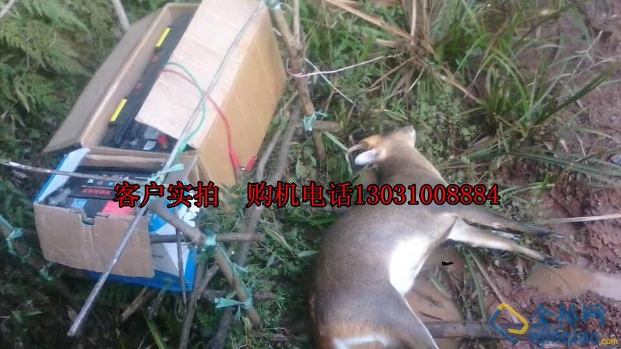 猎友捕猎器野鸡野兔捕捉器捕野猪机电野猪机扑猎机