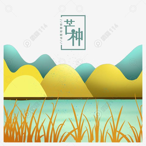 芒种节气夏季山峰