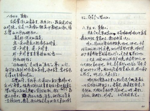 青春时代学子日记25