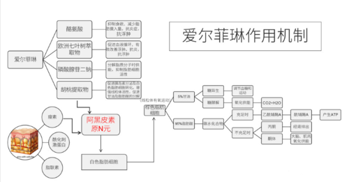 爱尔菲琳 airfeeling 溶脂,让你多余的脂肪无处可逃!