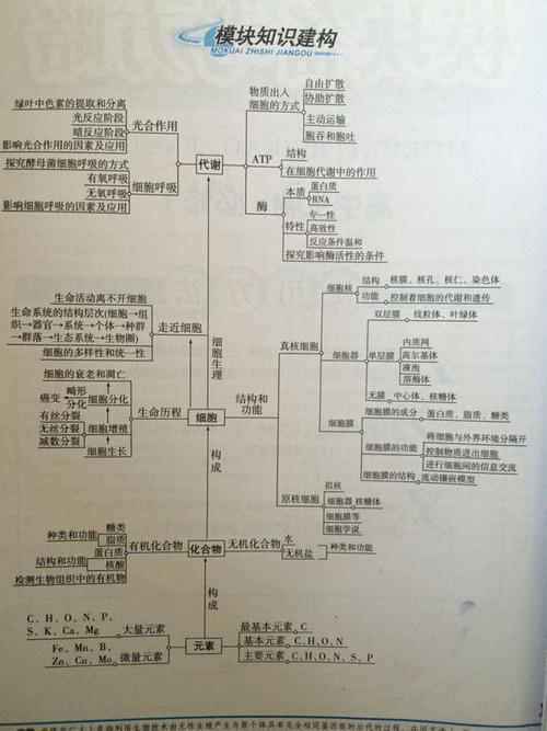 生物必修一第三章知识点树状图 必修二的总结框架图要