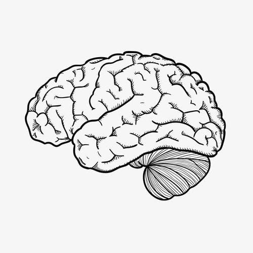 画脑袋简笔画 简笔画图片大全-蒲城教育文学网