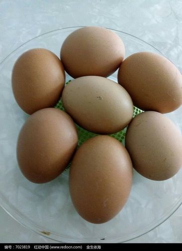 蛋宝宝行动 护蛋行动——让每个孩子把一个不剥皮的煮鸡蛋带到幼儿园