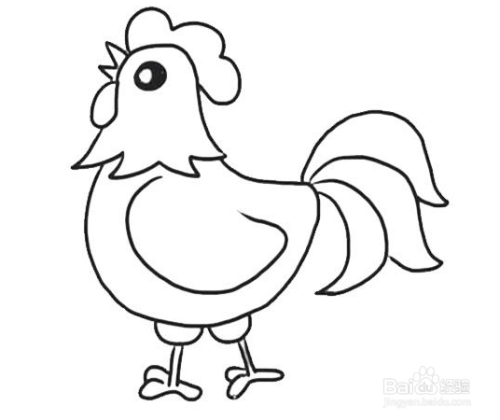 教你画小公鸡简笔画