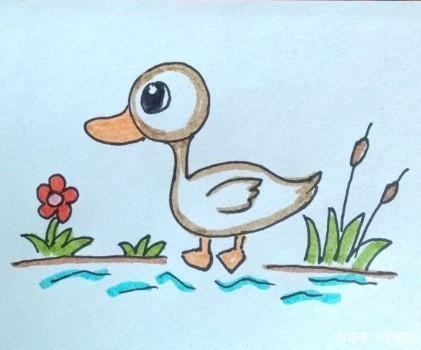 儿童简笔画:如何一步步小鸭子