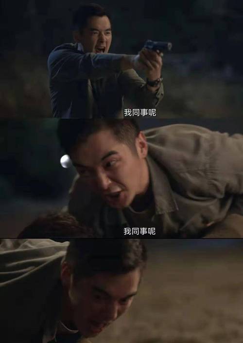 金世佳,你还有多少惊喜是朕不知道的?_师沈翊_杜城_陆展博