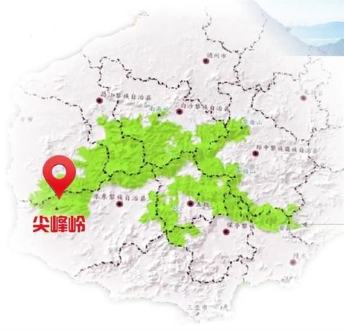 海南尖峰岭:超百万个植株将"立户存档"