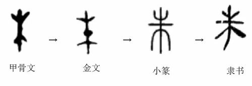 "朱"字字形演变(小学堂文字学资料库)