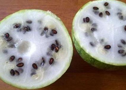 市民惊奇西瓜竟是白瓤图