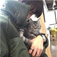 男生qq头像动漫养猫
