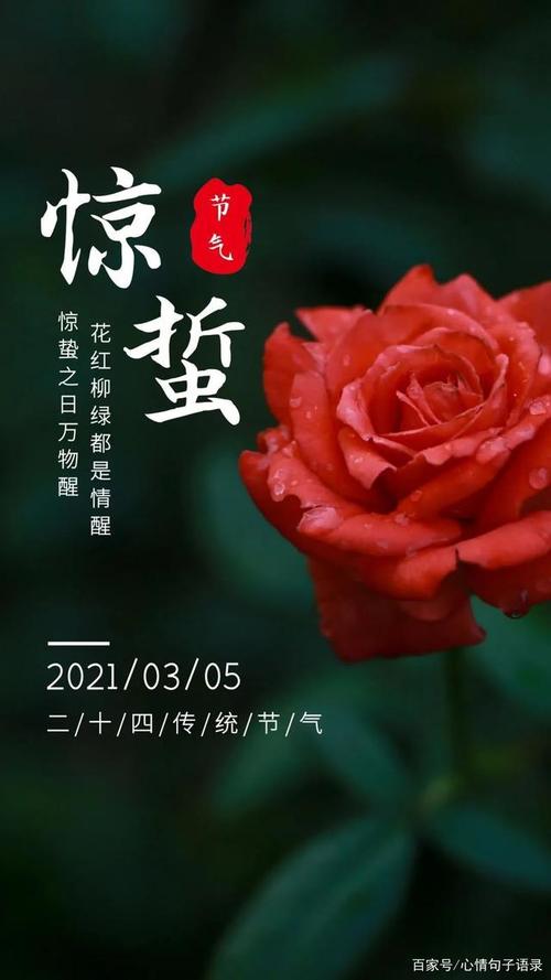 惊蛰节气早安问候语,惊蛰唯美带字图片
