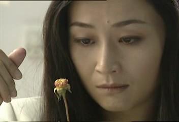 顾青的个人经历