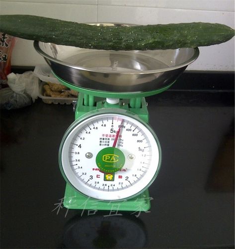 1kg2kg5kg10kg20kg 仁和盘秤托盘秤度盘秤机械弹簧秤厨房称卖菜秤