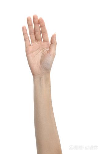 女性手显示五个手指被隔绝在白色背景手特写