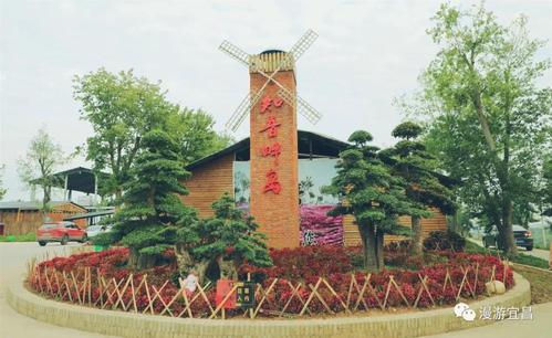 湖北宜昌知音畔岛花开正好万紫千红邀你来赏