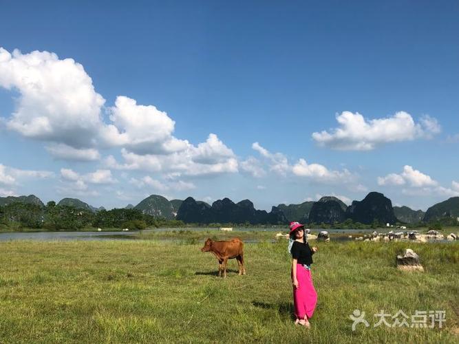 毛塘湿地公园图片 - 第1张