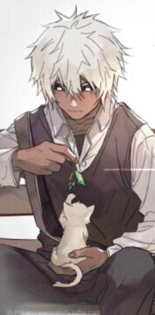 银爵和无(一)-凹凸世界之无传-话本小说网