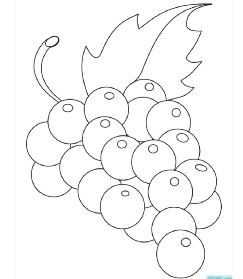 水果简笔画图片大全涂色