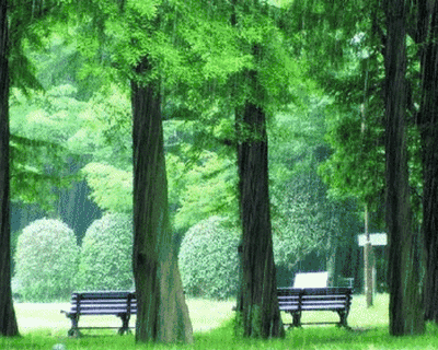 小提琴演奏《下雨的时候》.