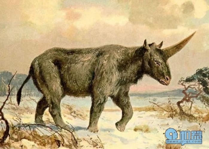 俄罗斯古生物学家指有"西伯利亚独角兽"之称的板齿犀活至2.