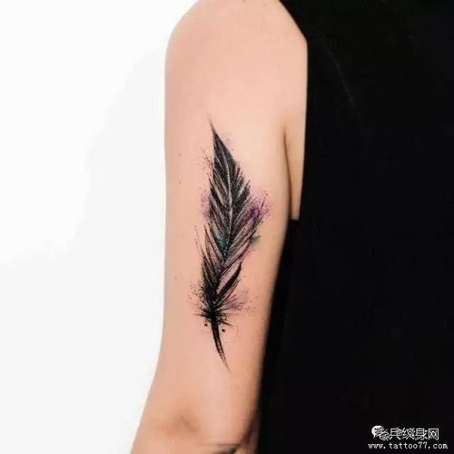 羽毛纹身图案