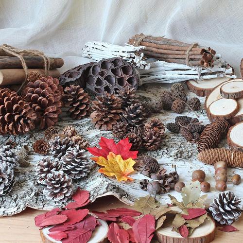热卖手工制作材料创意diy天然摆件松果松塔松子干花果实装饰树枝干枝