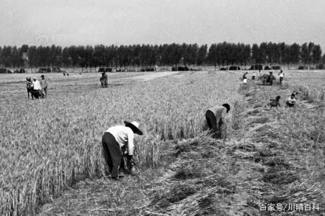 80年代的中国河南农村老照片,都是回忆