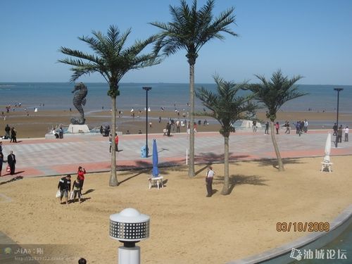 我美丽的家乡营口鲅鱼圈,欢迎朋友来坐客.