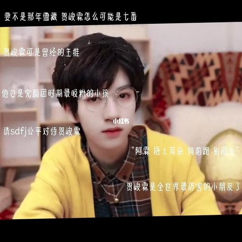 天生偶像贺峻霖._贺峻霖_娱乐_明星永乐资讯