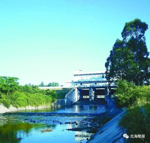 晚读‖艺文志——水沐年:《将琢碧玉绽异彩——北海鲤鱼地随笔》