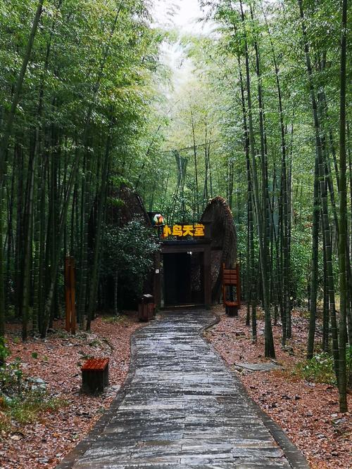 徜徉在南山竹海