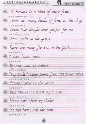 英语书法步步高·手写体钢笔字帖:46天速成(套装共4册