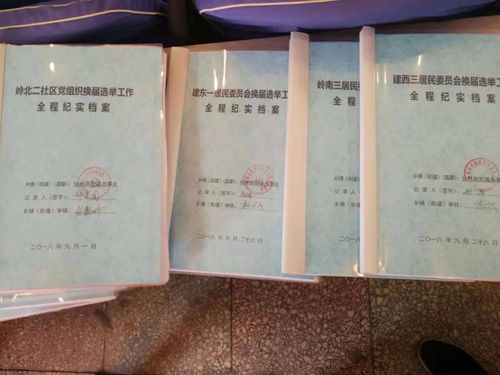 复兴区召开村(社区)"两委"换届档案观摩交流会议