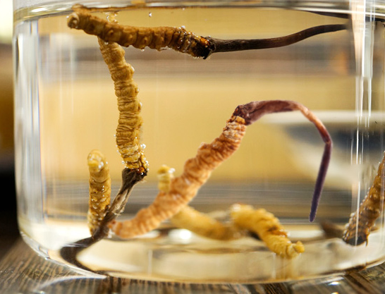 泡水(60℃开水浸泡)炖汤吃熬粥吃如果你碍于情面,说不出对父亲的爱