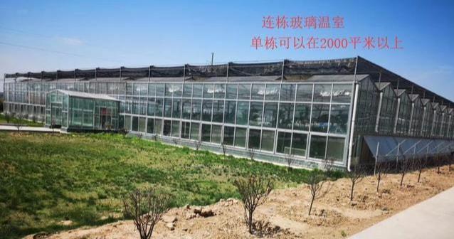 在农村建一个三亩地的大棚要多少钱?|连栋|暖棚|阳光板|遮阳_网易订阅