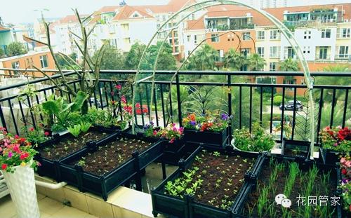 阳台小菜园diy种菜容器——花园管家