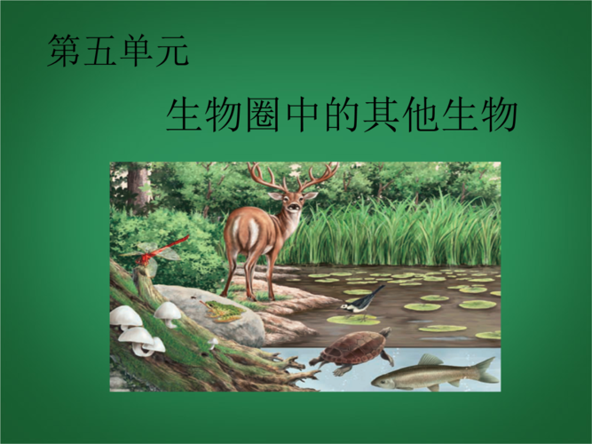 八年级生物上册 第五单元 第一章 动物的主要类群 第一节 腔肠动物和