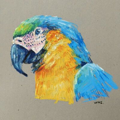 收集   点赞  评论  重彩棒鹦鹉 0 659 雪雪儿蕊  发布到  油画棒